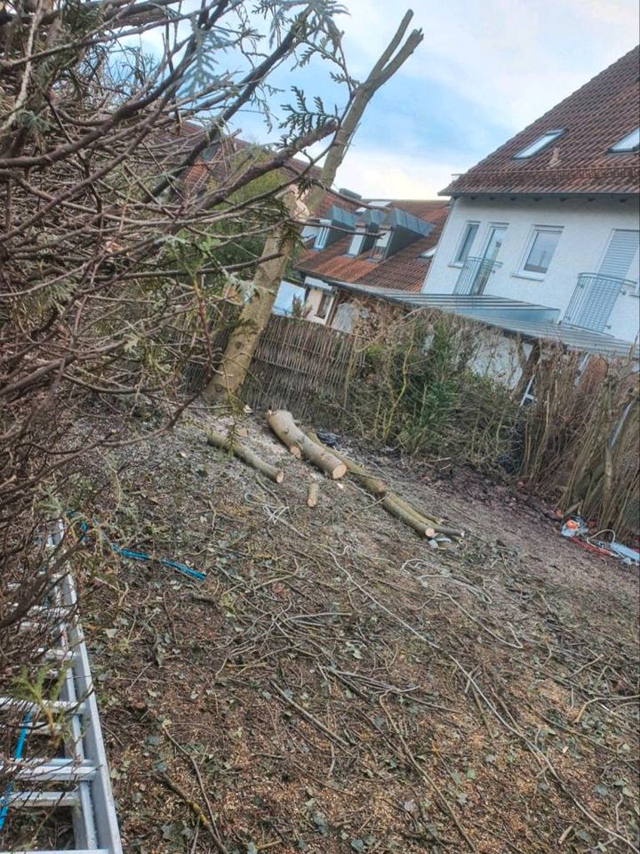 Baumfällung, Stumpf/Hecke/Baum fällen / entfernen, Heckenschnitt in Bruckberg bei Landshut