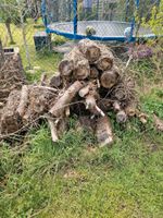 Brennholz zu verkaufen Hessen - Rodgau Vorschau