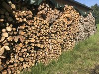 Brennholz gespalten 1m aus heimischem Wald Bayern - Marktoberdorf Vorschau