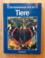 Die faszinierende Welt der Tiere Bayern - Reichenschwand Vorschau