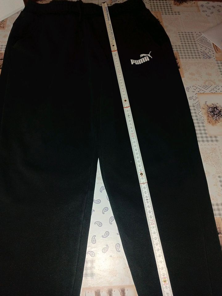 PUMA Jogginghose, Sporthose Größe L in Vilseck