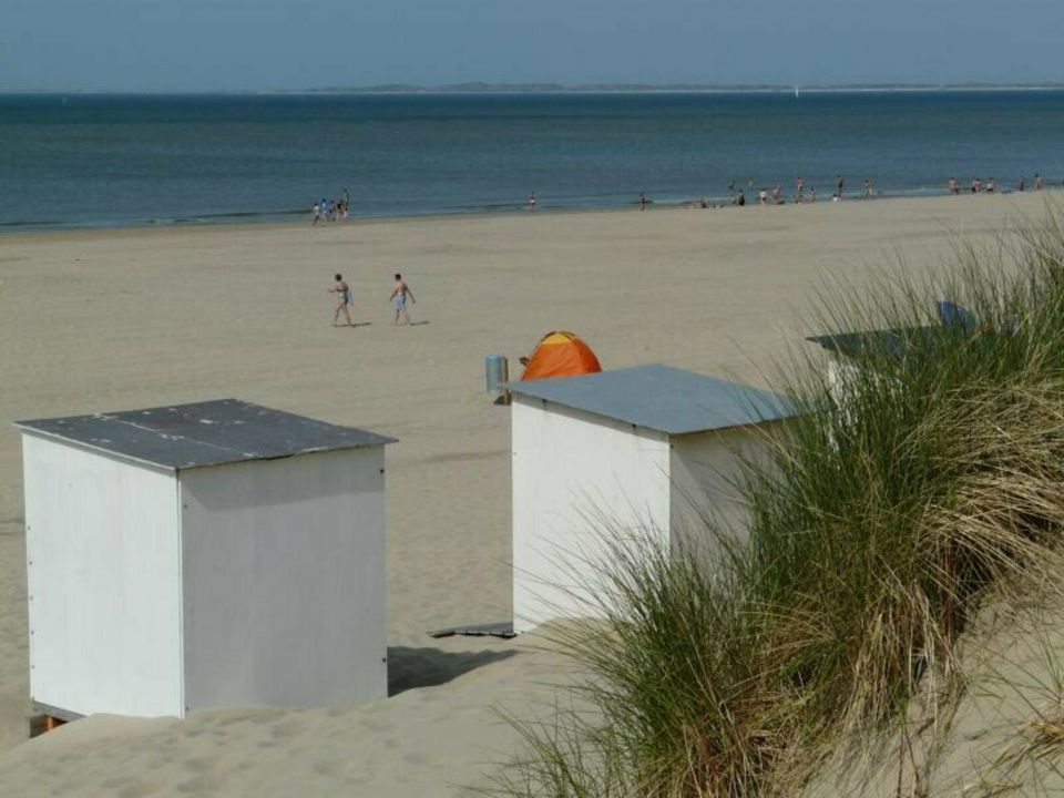 Ferienhaus Zeeland Niederlande Nieuwvliet Nordsee Strand+Meer200m in Duisburg