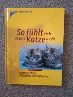 Katzenbuch, Haltung, Pflege, Beschäftigung Berlin - Spandau Vorschau