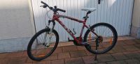 Mountenbike von FELT QS FW Sachsen-Anhalt - Muldestausee Vorschau