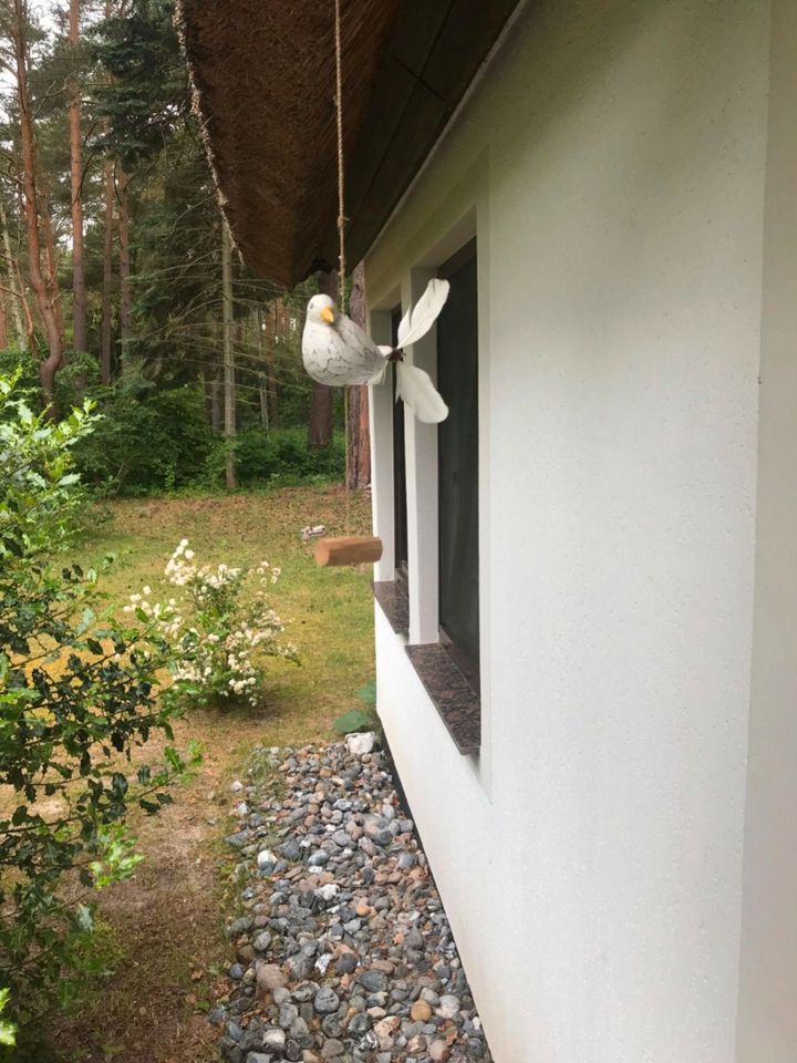 Strandnahes 4 Personen Ferienhaus am Wald in Glowe in Glowe Rügen