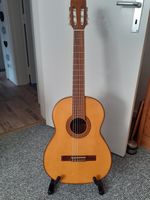 Giannini Konzertgitarre Klassikgitarre Flamencogitarre Serie MPB Niedersachsen - Cuxhaven Vorschau