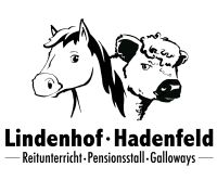 Bio Rindfleisch Galloway lokal Schleswig-Holstein - Hadenfeld Vorschau