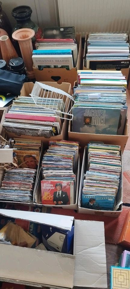 Schallplatten Sammlung ca. 4000 Stck in Ebeleben