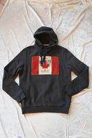 "CAMP DAVID" Sweatshirt Gr. L grau schwere Qualität Canada *TOP* Schleswig-Holstein - Mustin bei Ratzeburg Vorschau