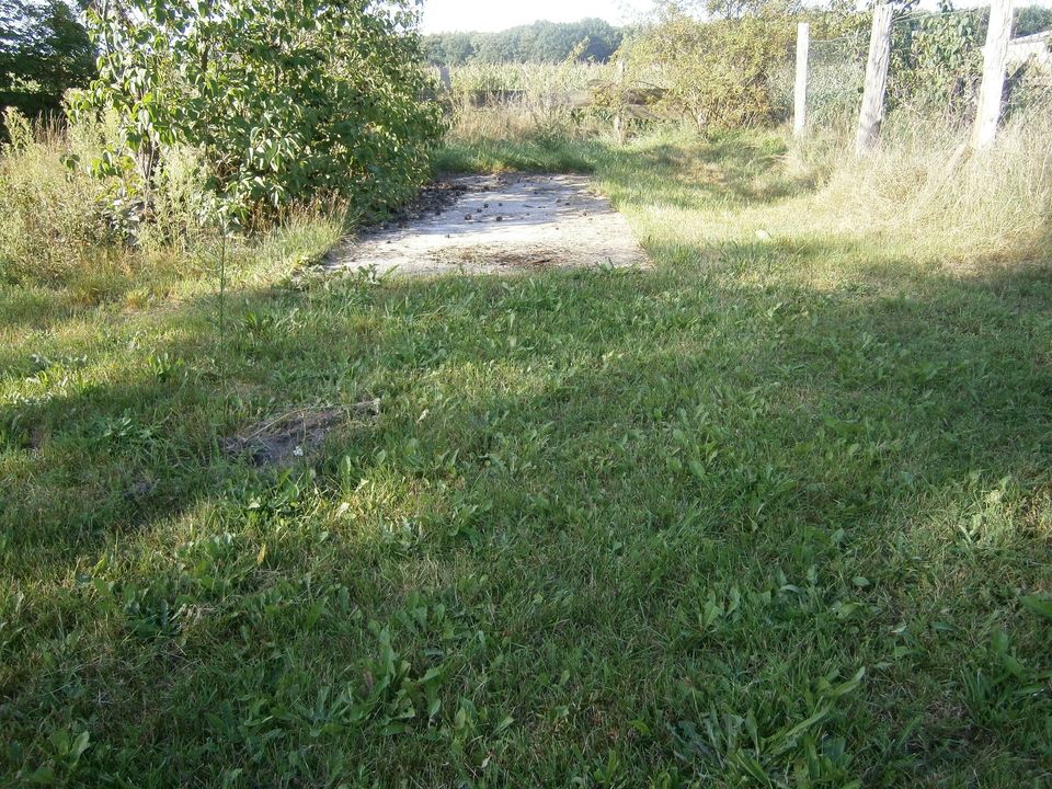 Stellplatz für Pferde-Anhänger, kleinen Wohnwagen, Boot o.ä. in Scharnebeck