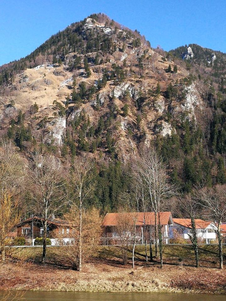 Ferienwohnung in Bayern, Chiemgauer Alpen, Urlaub mit Hund in Marquartstein