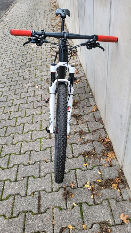 Carbon Mountainbike 29 Zoll in Weinheim