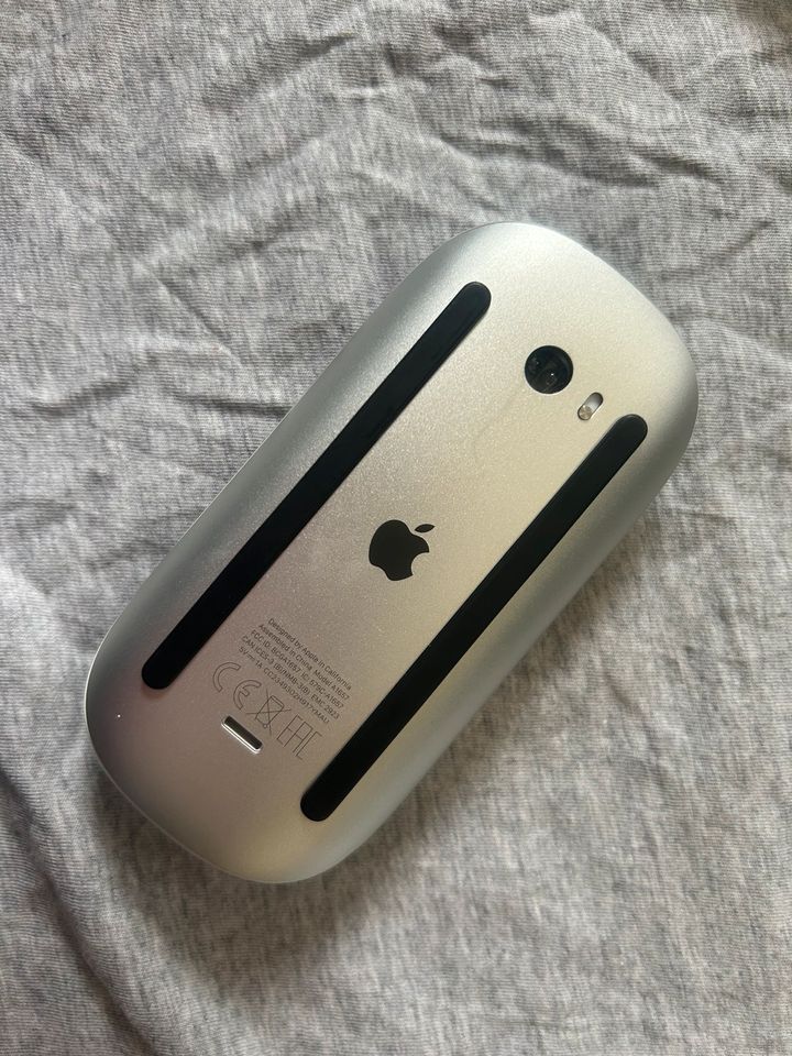 Magic Mouse Apple in Sohland
