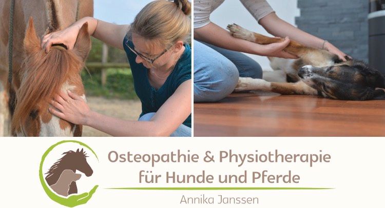 Pferdeosteopathie / Pferdephysiotherapie in Langwedel
