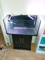 Komplettes Aquarium Set 100L Eimsbüttel - Hamburg Eidelstedt Vorschau