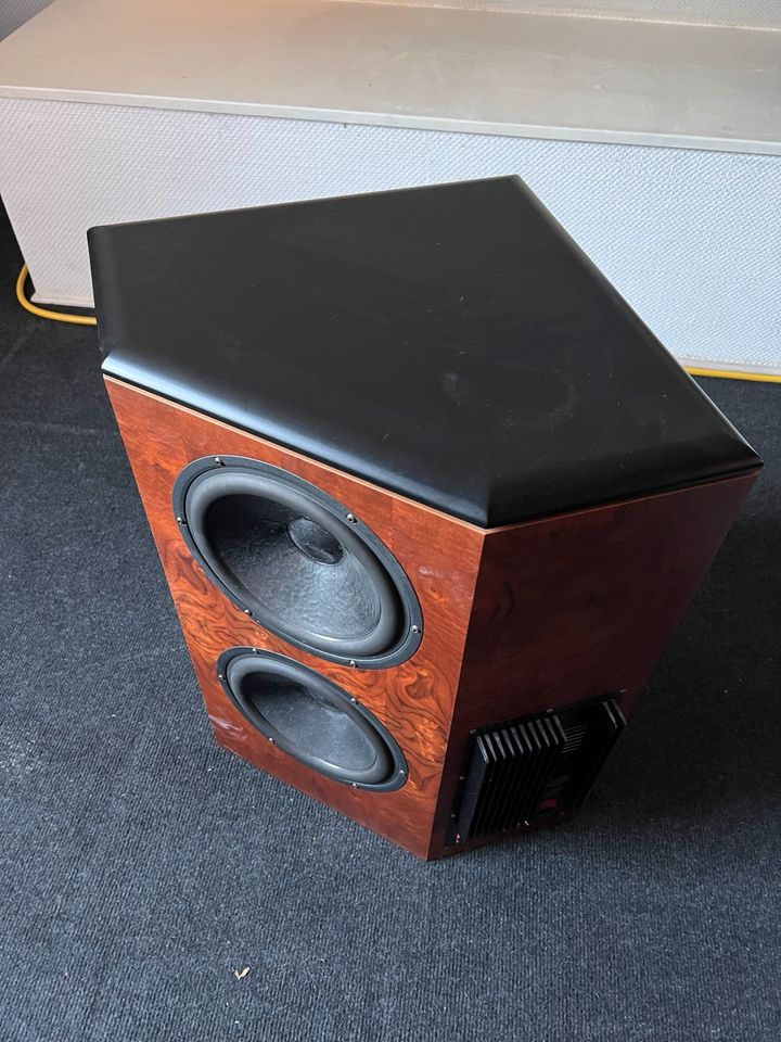 Lautsprecher Audio Physic RHEA 230V in Zweibrücken