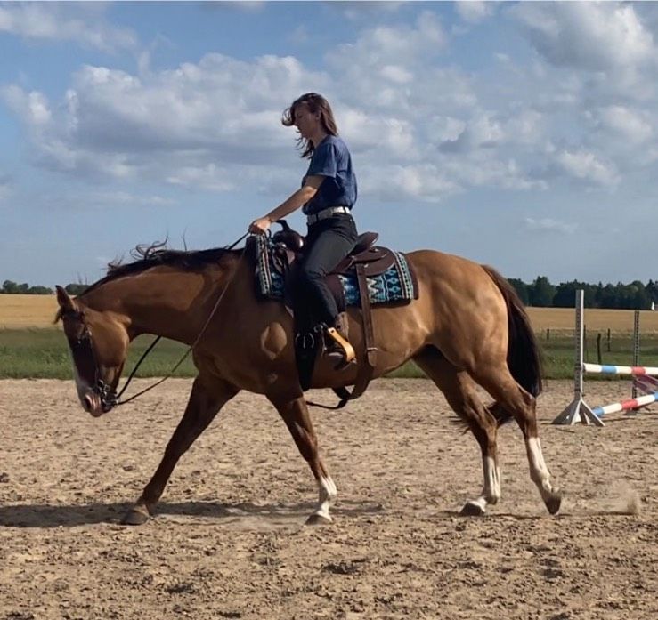 Mobiler Unterricht Westernreiten in Teupitz-Tornow