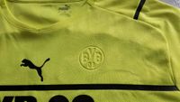 BVB Cup Trikot 2021/2022 Gr. 3XL mit gestanztem logo Nordrhein-Westfalen - Swisttal Vorschau