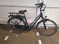 Pegasus E-Bike in Dülmen Abzuholen Münster (Westfalen) - Gremmendorf Vorschau