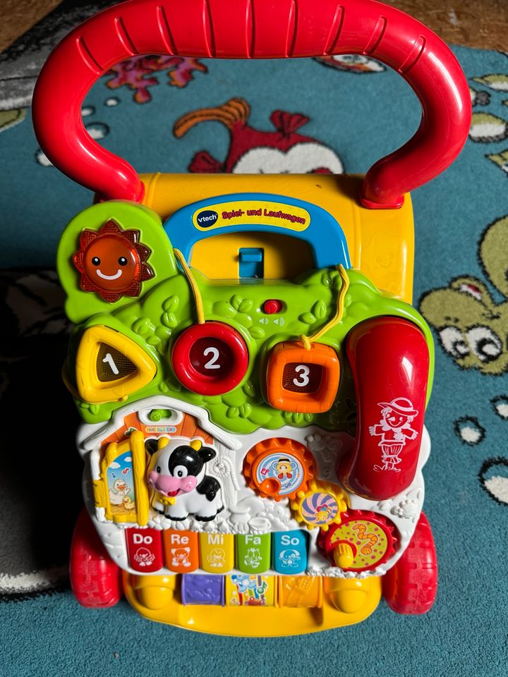 vtech® Spiel- und Laufwagen Farbe Colorful in Itzehoe