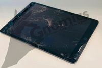 Reparatur iPad 1 2 3 4 5 6 7 8 9 10 Gen Pro Air Mini Display Akku Niedersachsen - Vechta Vorschau