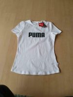 Puma Sport T-Shirt Größe 176 neu S Baden-Württemberg - Appenweier Vorschau