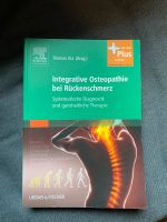 Integrative Osteopathie bei Rückenschmerzen, Manuelle Therapie Niedersachsen - Hatten Vorschau