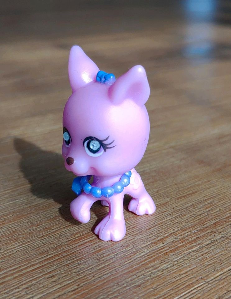 Littlest Pet Shop LPS Spielfigur Spielzeug Hund Dog in Hockenheim