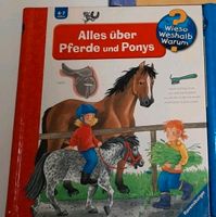 Wieso Weshalb Warum,  4-7 Jahre, Pferde, Ponys, Baden-Württemberg - Karlsruhe Vorschau