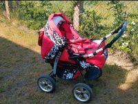 2 in 1 Kinderwagen & Buggy Kombi Brandenburg - Cottbus Vorschau