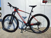 Specialized Stumpjumper HT Carbon 29" Gr.L Hessen - Zwingenberg Vorschau