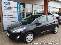 Ford Fiesta Cool & Connect  Navi Ganzjahresreifen Müritz - Landkreis - Waren (Müritz) Vorschau