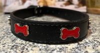 Hunde Halsband „für mittelgroße bis größere Hunde“ Hessen - Aßlar Vorschau