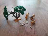 Playmobil Löwen Familie Safari 5903 Niedersachsen - Itterbeck Vorschau