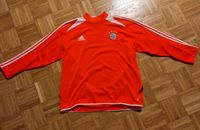 Matchworn Pulli FC Bayern München Kr. Dachau - Dachau Vorschau