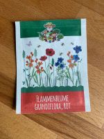 Flammenblume Grandiflora rot Saat Samen Blumen Pflanze 50ct Hannover - Südstadt-Bult Vorschau