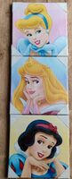 Wandbild 3 Stück NEU Disney Princess Hessen - Neukirchen Vorschau