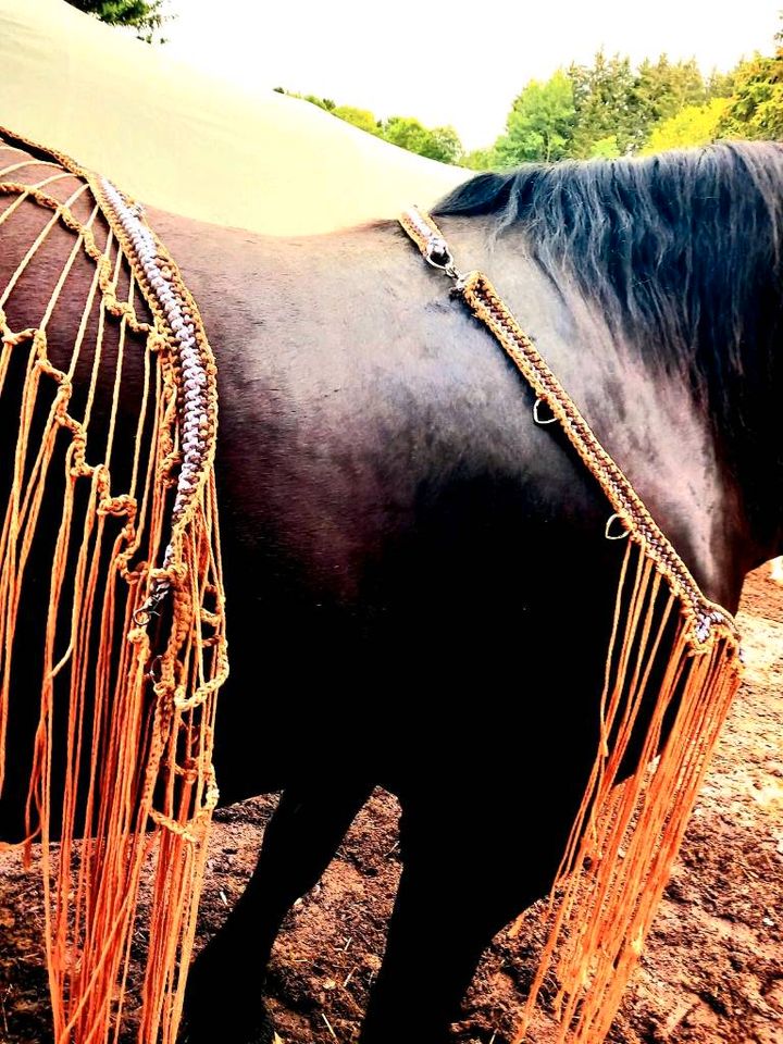 Fliegenausreitedecke Fransen System XXL bis Minimi Pony in Mauth