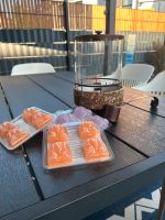 Partylite Fragrance Flame Outdoor inklusive Melts Bayern - Bad Königshofen Vorschau