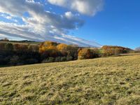 Verkauf von Wald- und Wiesenflächen in der idyllischen Gemeinde Niederndorf im SHK Thüringen - Kraftsdorf Vorschau