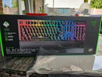 Razer Blackwidow V3 Niedersachsen - Delmenhorst Vorschau