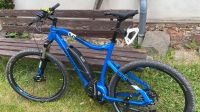 HAIBIKE SDURO HARDSEVEN 3.0 BLAU/WEISS/SCHWARZ Hardtail Brandenburg - Angermünde Vorschau