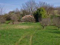 Weinbergpinze in idyllischer und sehr ruhiger Lage Bayern - Oberstaufen Vorschau