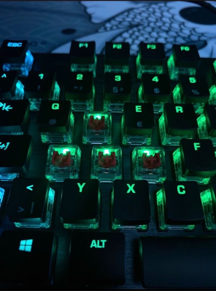 Gaming keyboard. Roccat vulkan tkl. in Potsdam