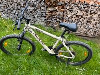 Mountainbike Centurion Herren 26 Zoll Sachsen - Reichenbach (Vogtland) Vorschau