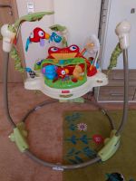 Fisher Price jamperoo Baby Kinder  spielzeug Niedersachsen - Achim Vorschau