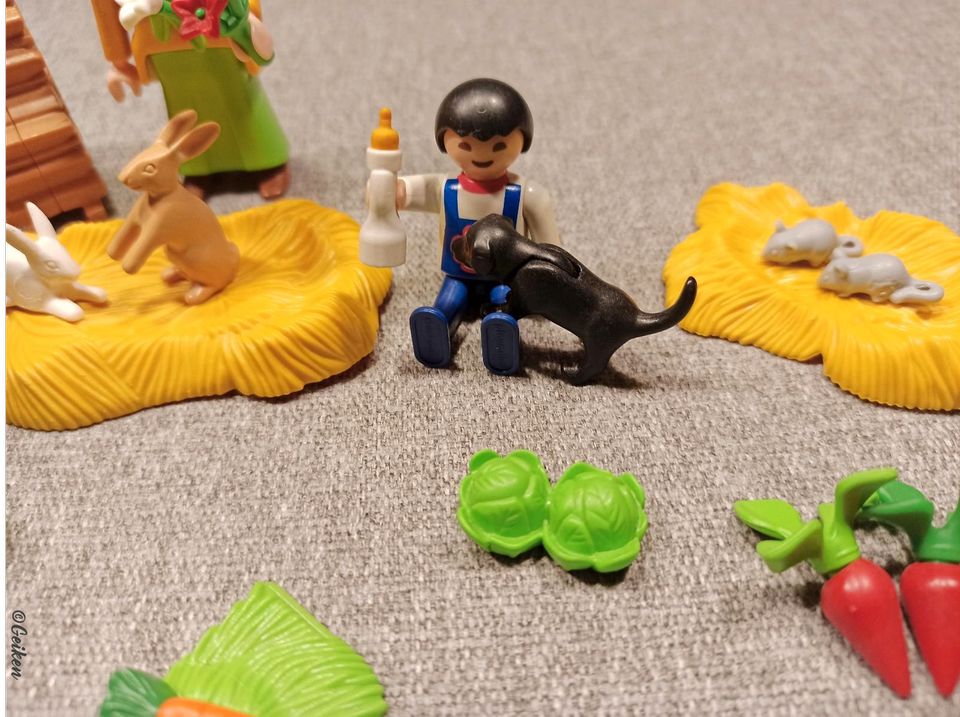 PLAYMOBIL: Obst- und Gemüsegarten / Bauernhof in Norden