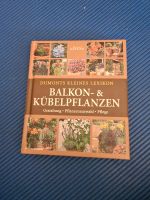 Buch Balkon- & Kübelpflanzen Sachsen - Mittelbach Vorschau