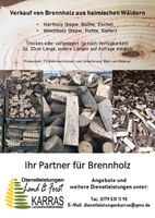 Brennholz/Weichholz Thüringen - Wohlsborn Vorschau