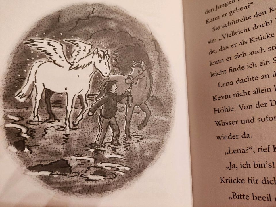 Mein magisches Pony Flügel im Wind von Jenny Oldfield in Neidlingen